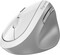 Фото - Миша бездротова Genius Ergo 8350S AI Silent White/Grey Wireless (31030041401) | click.ua