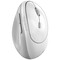Фото - Миша бездротова Genius Ergo 8350S AI Silent White/Grey Wireless (31030041401) | click.ua