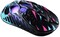 Фото - Мышь GravaStar Mercury X Pro Neon Graffiti Wireless (GS_X_PRO_CG_BLK) | click.ua