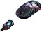 Фото - Мышь GravaStar Mercury X Pro Neon Graffiti Wireless (GS_X_PRO_CG_BLK) | click.ua