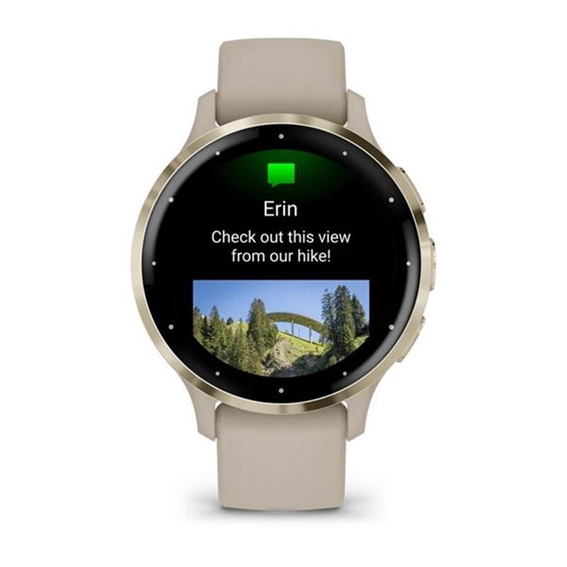 Смарт-годинник Garmin Venu 3s Soft Gold Stainless Steel Bezel with French Gray Case and Silicone Band (010-02785-02)