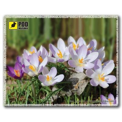 Килимок для миші Pod Mishkou Весна-Крокуси