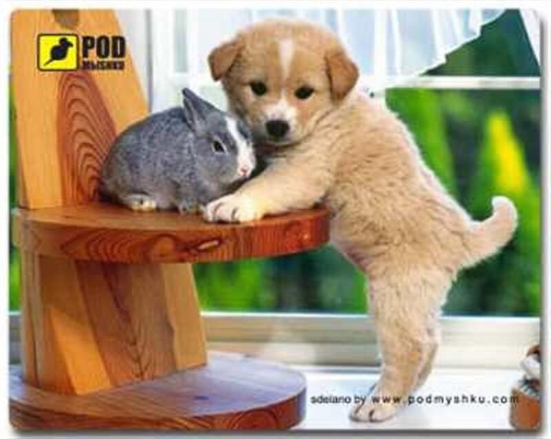 Килимок для миші Podmyshku Щеночек