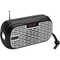 Фото - Акустична система YG-A31 Black/Grey | click.ua