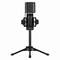 Фото - Микрофон Streamplify MIC TRIPOD-48-RGB-TP Black (SPMC-MZ1C127.11) | click.ua