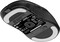 Фото - Мышь беспроводная Endgame Gear XM2w 4K v2 Black Transparent Wireless (PGW-EG-MOU-081) | click.ua