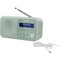Фото - Радіоприймач Sharp DR-P420 Green (DR-P420(GN)) | click.ua