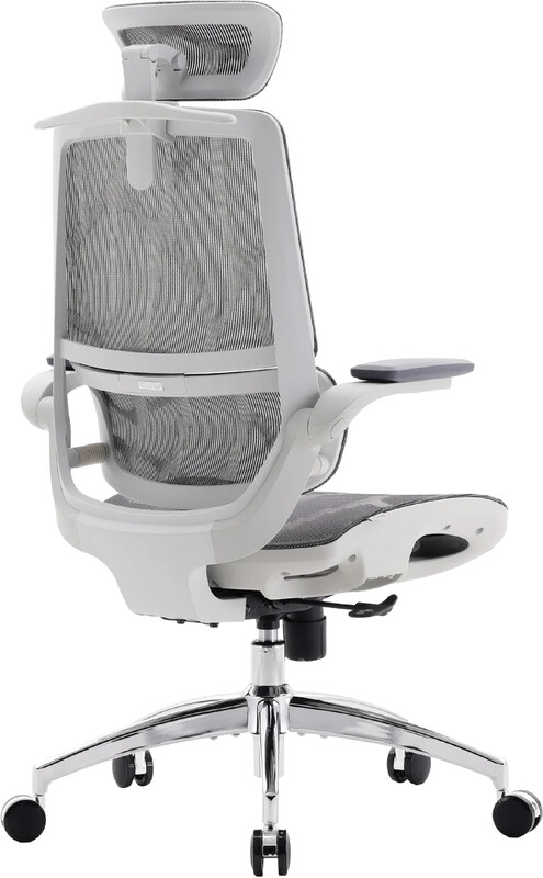 Крісло офісне Sihoo M59AS Mesh Gray (M59AS-M301)