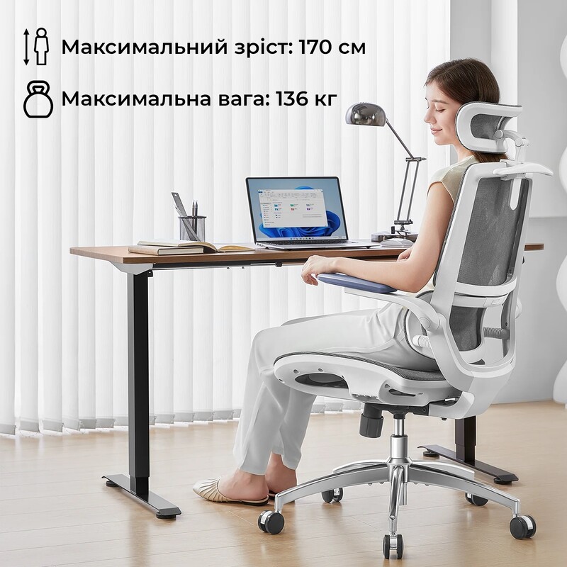 Крісло офісне Sihoo M59AS Mesh Gray (M59AS-M301)