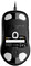 Фото - Мышь Endgame Gear XM1r Black Transparent USB (PGW-EG-MOU-010) | click.ua