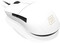 Фото - Мышь Endgame Gear XM1r White USB (PGW-EG-MOU-012) | click.ua