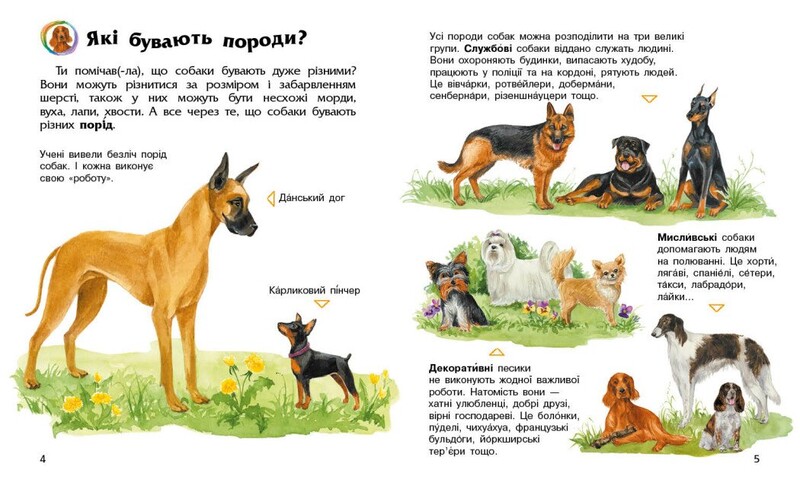Енциклопедія дошкільника. Тварини / Юлія Каспарова