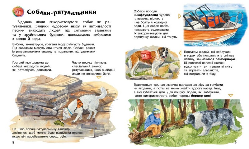 Енциклопедія дошкільника. Тварини / Юлія Каспарова