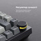 Фото - Клавіатура Ajazz AK820 Sea Salt Switch Black USB-C (AK820-SS-BGY) | click.ua