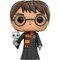 Фото - Колекційна фігурка Funko POP Movies: Harry Potter - Harry w/Hedwig (Exc) (5908305237327) | click.ua