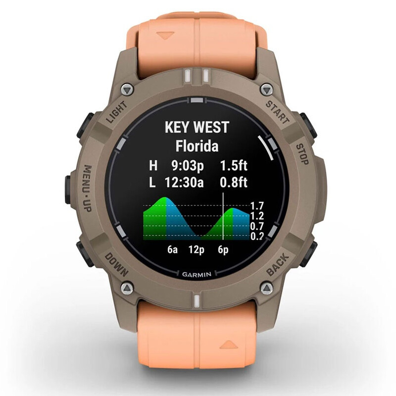 Смарт-часы Garmin Descent G2 Paloma with Shell Pink Band (010-02986-01)