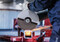 Фото - Круг відрізний Bosch Professional Standard (2.608.619.776) | click.ua