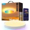 Фото - Светильник потолочный Govee Smart Ceiling Light Pro 2700-6500K White (H60A6C01) | click.ua