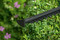 Фото - Кусторез Bosch EasyHedgeCut 45 (0.600.847.A05) | click.ua