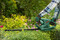 Фото - Кусторез Bosch EasyHedgeCut 45 (0.600.847.A05) | click.ua