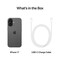 Фото - Смартфон Apple iPhone 17 256GB Black (MG6J4AF/A) | click.ua