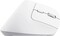 Фото - Миша бездротова Trust Bayo+ Multidevice Ergonomic White (25399) | click.ua