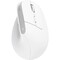 Фото - Миша бездротова Trust Bayo+ Multidevice Ergonomic White (25399) | click.ua