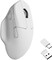 Фото - Мышь беспроводная Keychron M7 WL White (M7-A3) | click.ua
