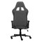Фото - Крісло для геймерів 2E Gaming Bushido Lite Dark Gray (2E-GC-BUS-ESGY) | click.ua