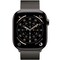 Фото - Смарт-годинник Apple Watch Series 11 GPS + Cellular 46mm Slate Titanium Case with Slate Milanese Loop - M/L (MFD44RK/A) | click.ua