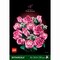 Фото - Конструктор LEGO Botanicals Букет розовых роз (10374) | click.ua