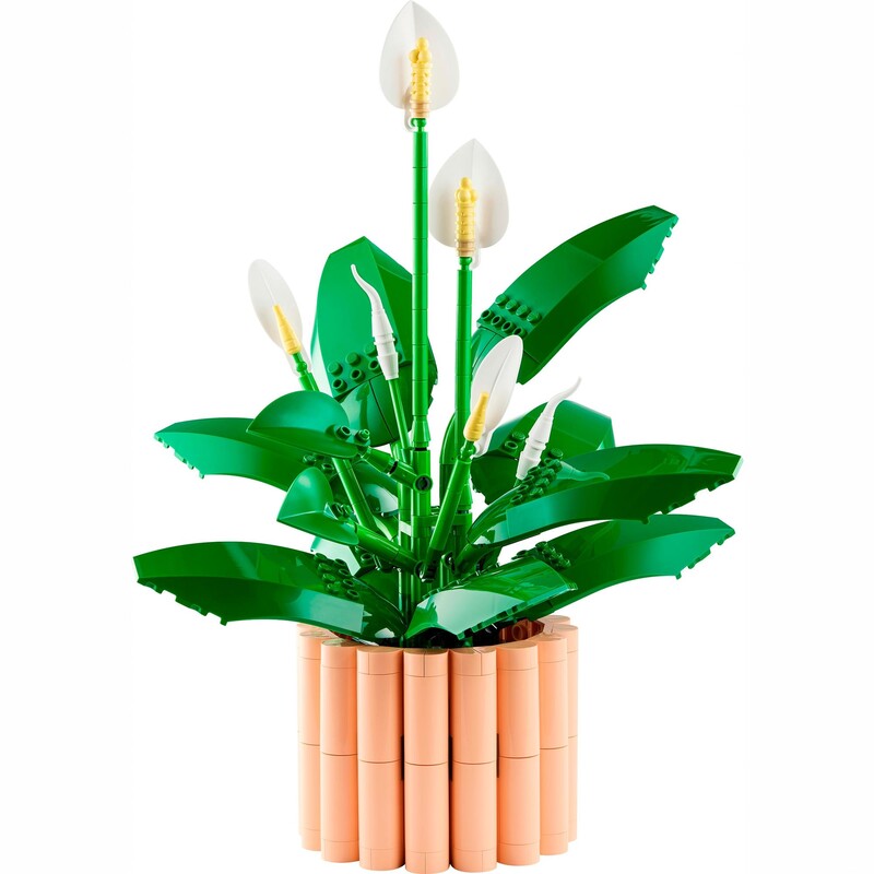 Конструктор LEGO Botanicals Спатифиллум (11504)