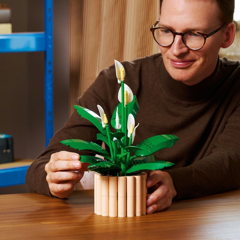 Конструктор LEGO Botanicals Спатифиллум (11504)