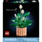 Фото - Конструктор LEGO Botanicals Спатифиллум (11504) | click.ua