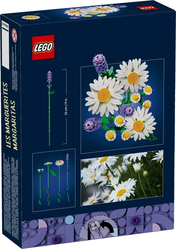 Конструктор LEGO Botanicals Ромашки (11508)