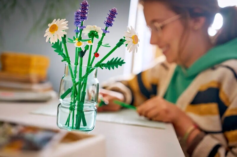 Конструктор LEGO Botanicals Ромашки (11508)