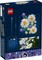 Фото - Конструктор LEGO Botanicals Ромашки (11508) | click.ua