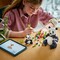 Фото - Конструктор LEGO Creator Дикие животные: пандовые (31165) | click.ua