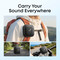 Фото - Акустична система Anker SoundCore Boom Go 3i Black (D5103010) | click.ua
