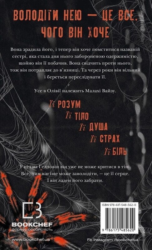 Павутина мовчання. Книга 1: Маленька незнайомка / Лі Ріверс