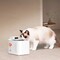 Фото - Смарт-поїлка Petkit Eversweet Max 2 White P4116 (UVC) | click.ua