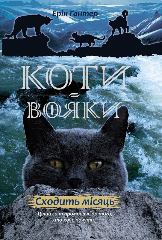 Коты-воители. Цикл 2: Новое пророчество. Подарочный комплект из 6 книг / Эрин Хантер