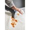 Фото - Миючий пилосос-плямовивідник Rowenta Clean It Hot & Cold IN7021F0 | click.ua