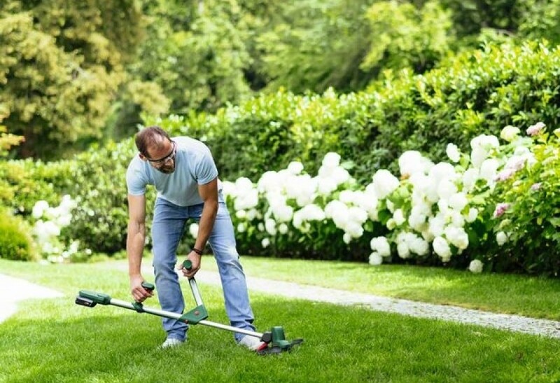 Тример Bosch UniversalGrassCut 18V-260 (0.600.8C1.D03)