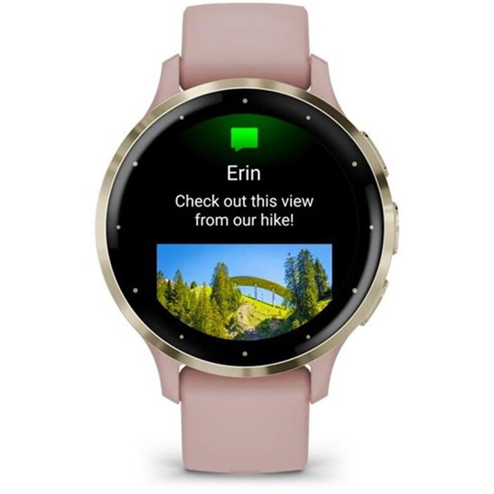 Смарт-годинник Garmin Venu 3s Soft Gold Stainless Steel Bezel with Dust Rose Case and Silicone Band (010-02785-03)