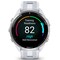 Фото - Смарт-часы Garmin Forerunner 965 Titanium Bezel with Whitestone Case and Whitestone/Powder Gray Silicone Band (010-02809-11) | click.ua