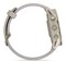 Фото - Смарт-годинник Garmin Forerunner 970 French Gray Soft Gold Titanium with French Gray/Translucent Indigo Silicone with Soft Gold Buckle (010-02969-12) | click.ua