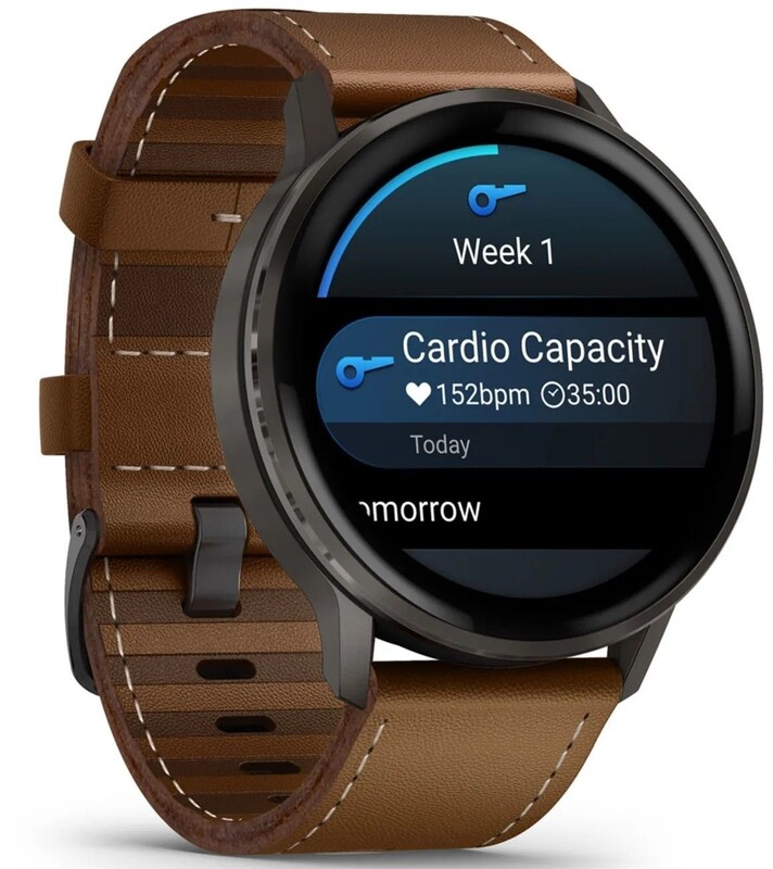 Смарт-часы Garmin Venu 4 45mm Black with Brown Leather Band (010-03014-03)