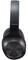 Фото - Bluetooth-гарнитура Panasonic RB-HX220BEE-K Black | click.ua