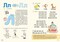 Фото - Букварь Читайлик. Комплект из 3-х книг / Василий Федиенко | click.ua